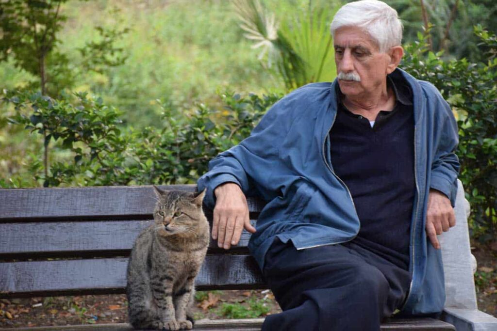 Terapia con animales Terapia con animales