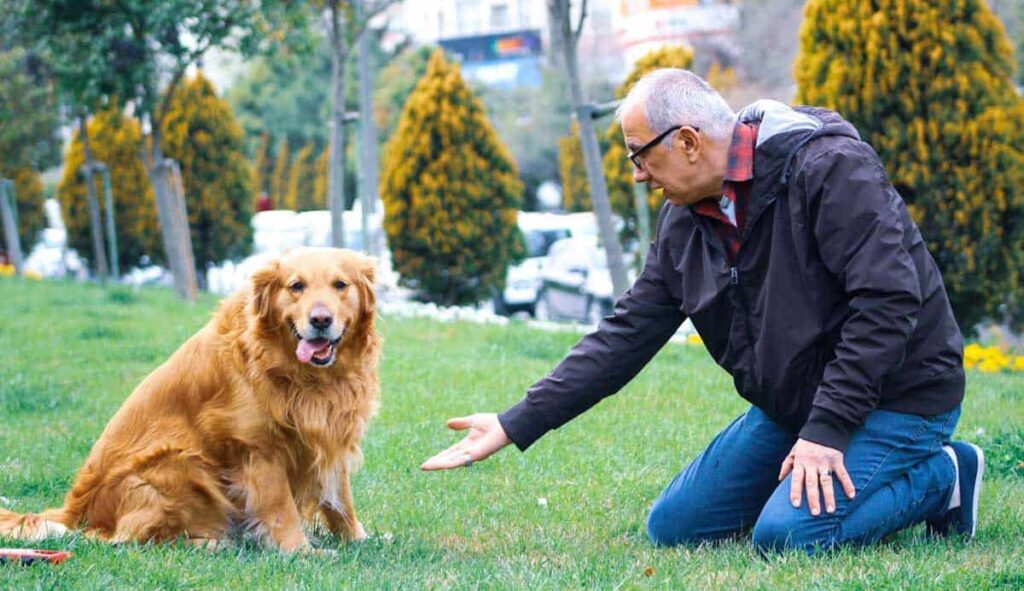 Terapia con animales
