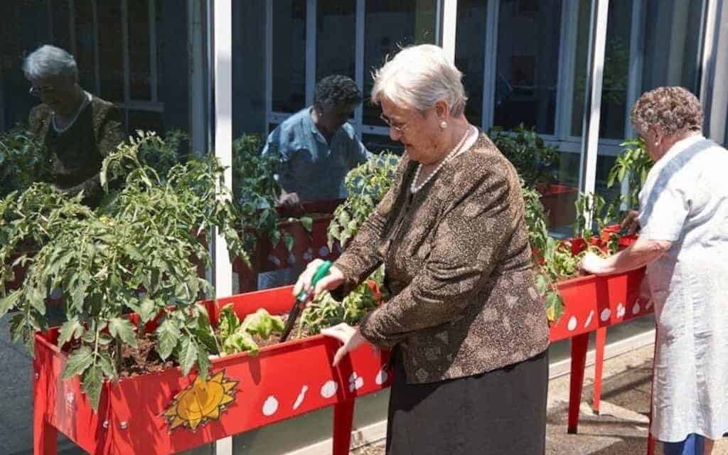 jardinería para personas mayores